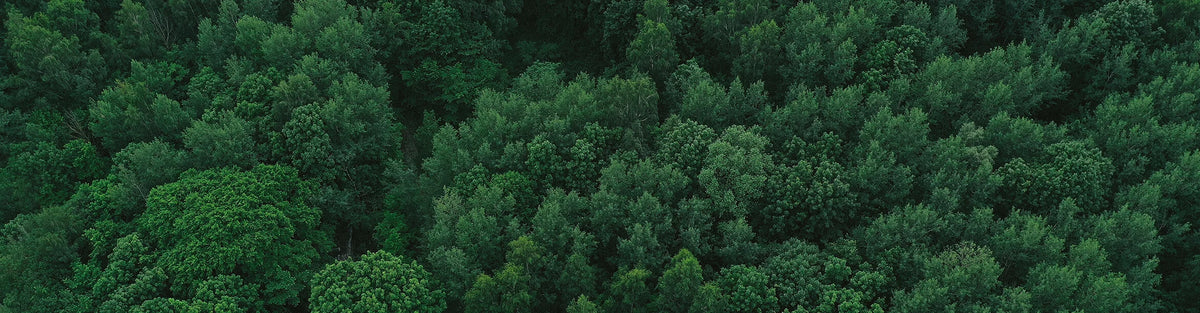 Sustainability, environment and Be Lenka